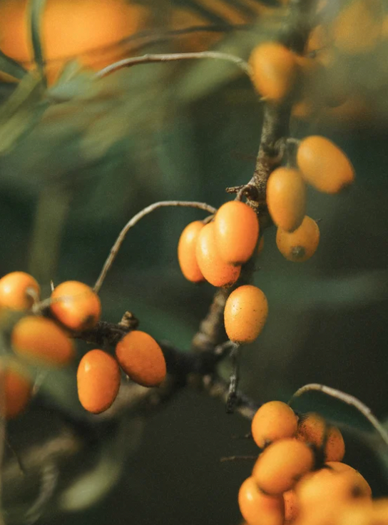 alt="démaquillant biphasé sans parfum pour usage quotidien sur yeux sensibles"