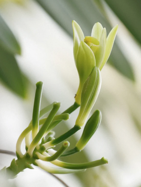 Gel douche moussant pour bébé