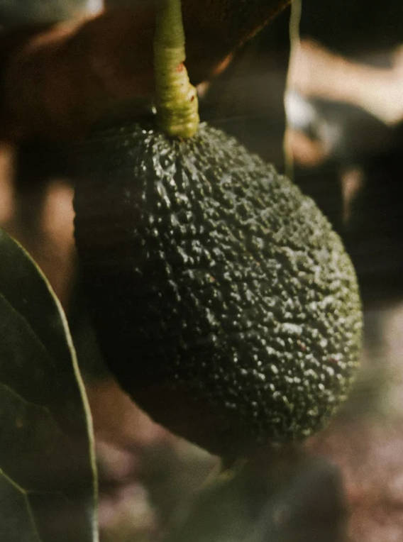 Sérum à la vitamine C