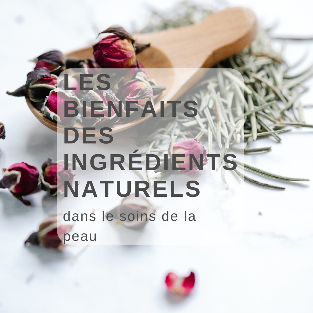 Les Bienfaits des Ingrédients Naturels dans les Soins de la Peau Image