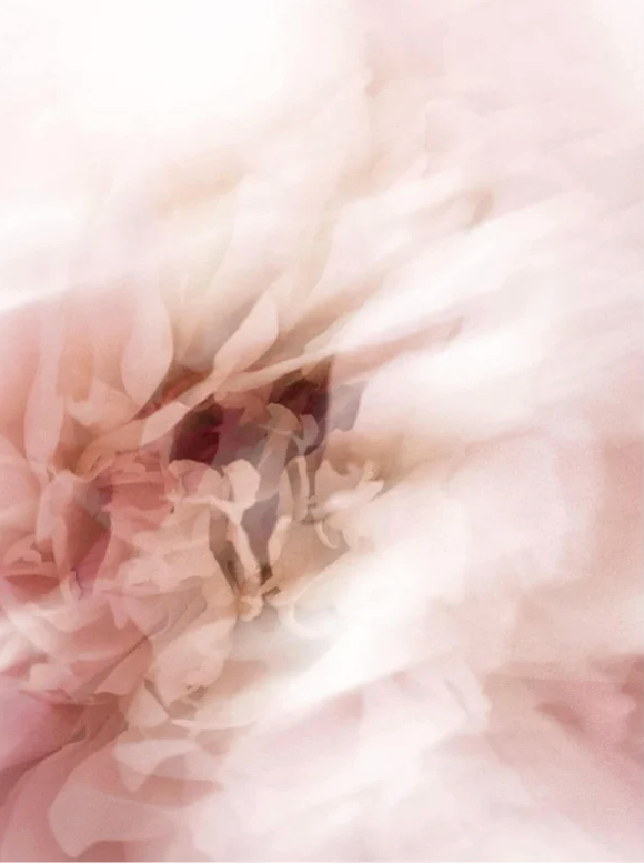 Crème contour des yeux apaisante