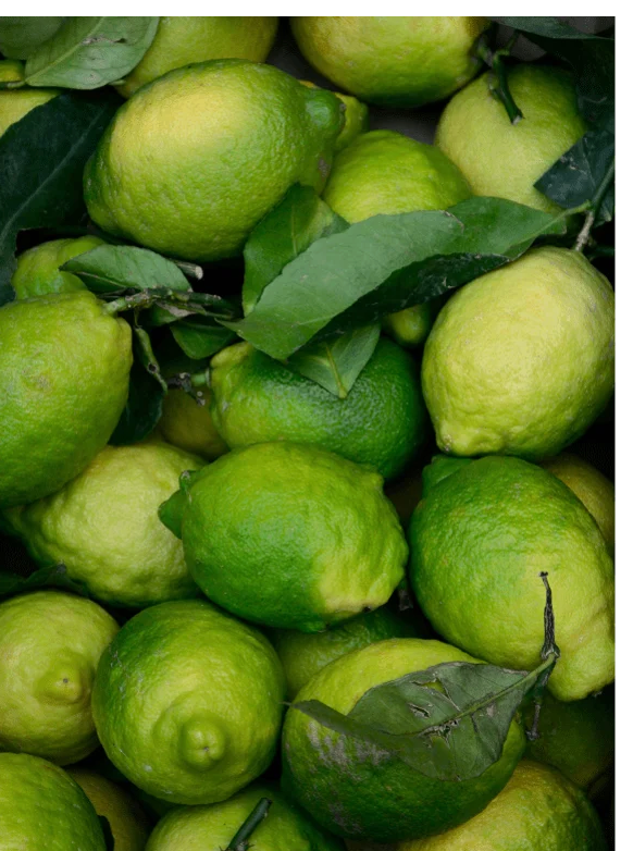 Gel visage au zinc sans huile pour hommes