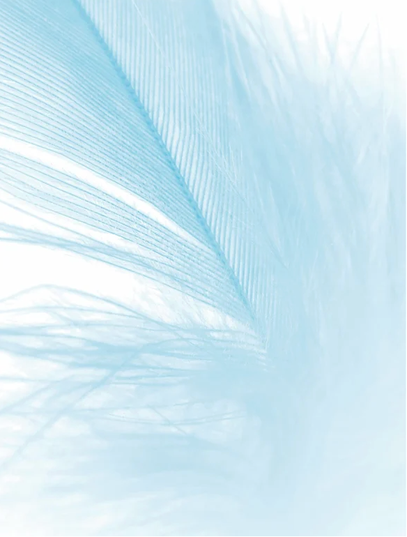 Crème hydratante pour peaux sensibles, sans parfum