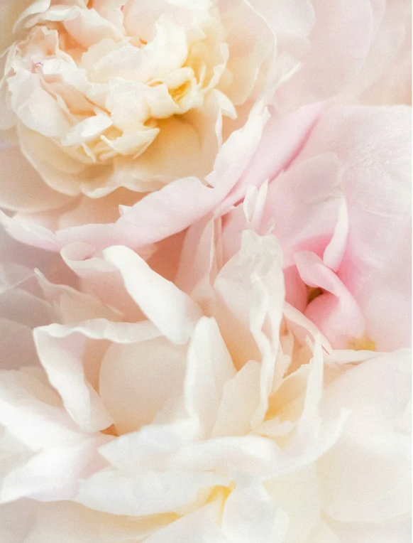 Shampoing doux pour bébé avec prébiotiques