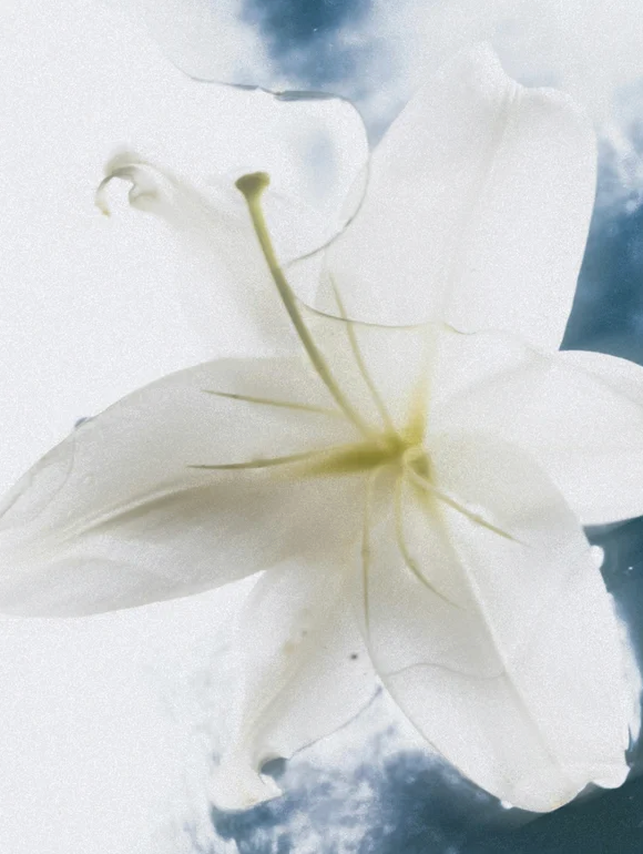 Crème pour le corps pour peaux sensibles