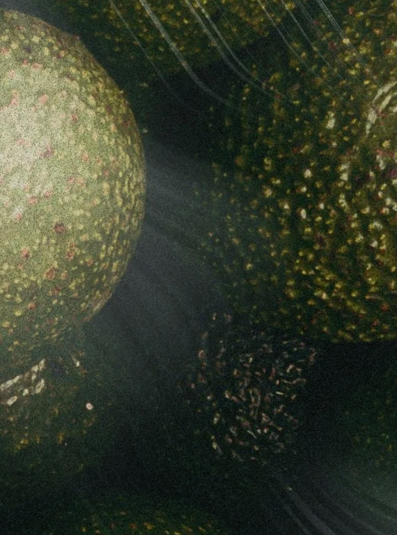 Huile visage nourrissante bio