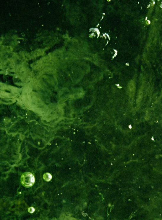 Crème de nuit barrière aux céramides