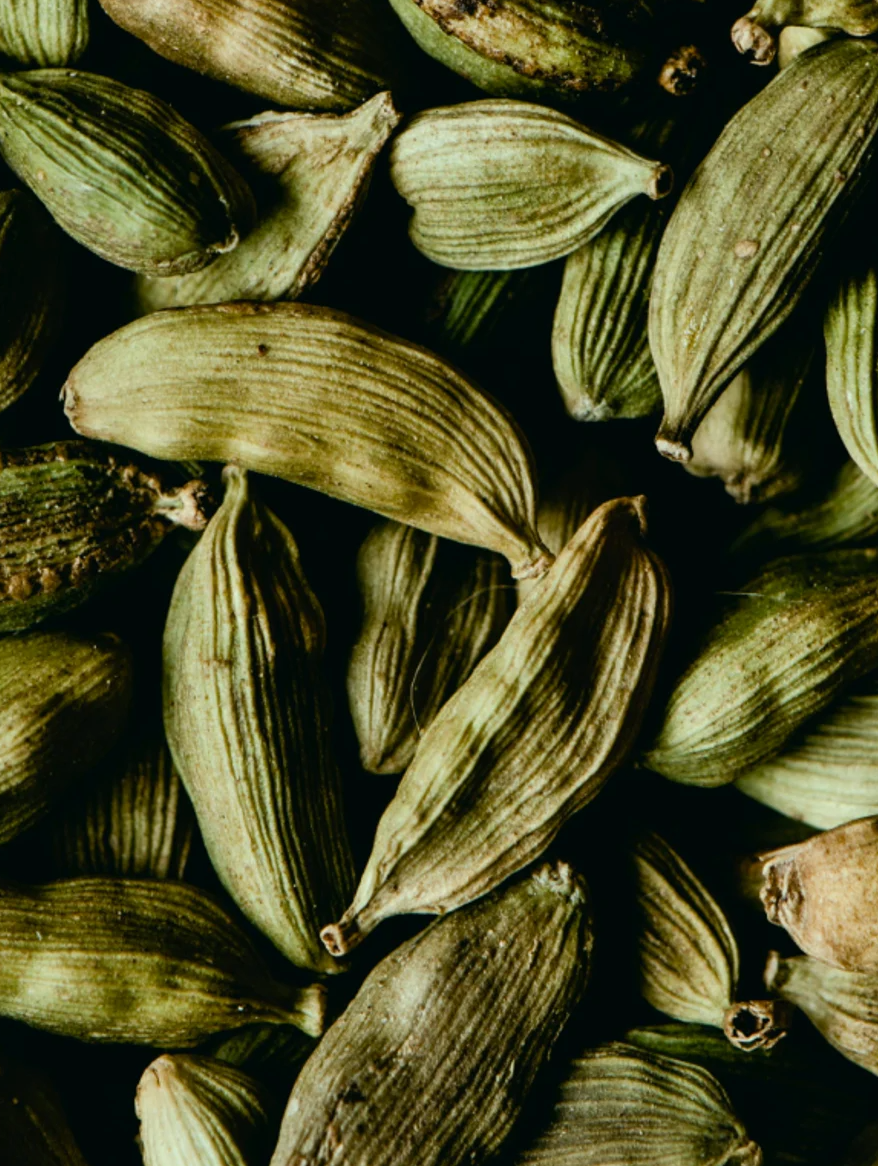 alt="gel douche parfumé au gingembre et à la cardamome dans un décor végétal frais"