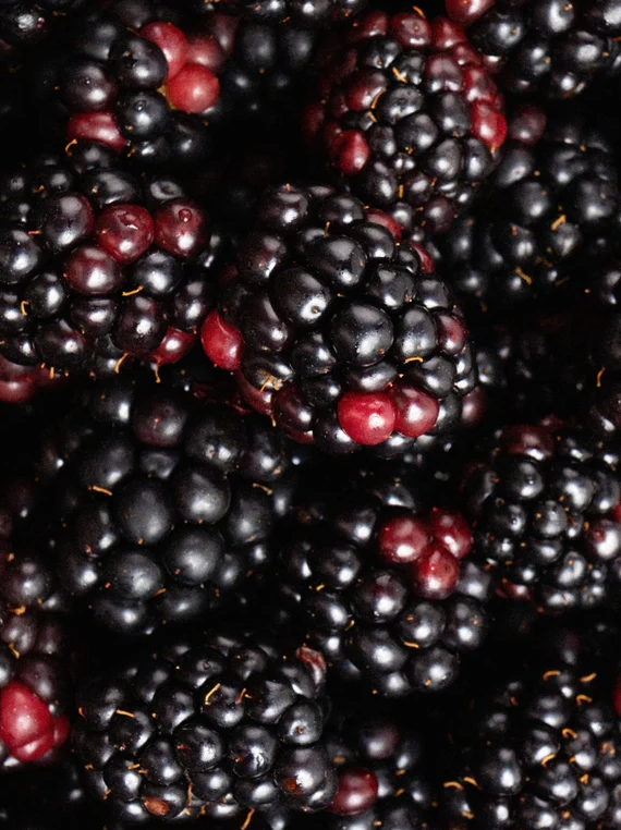 alt="extrait de mûre pour rafraîchir et revitaliser le teint dans le nettoyant visage"