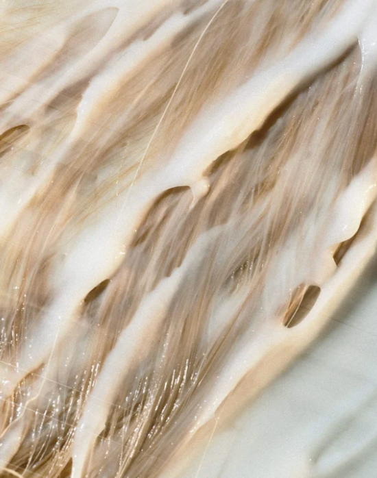 Après-shampoing Hydratant – Huile d'Argan & Protéine de Blé